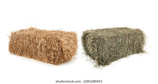 bundles of straw and hay in front of white background
