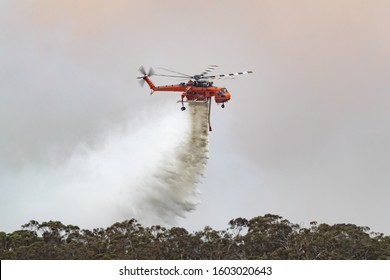 Bundoora, Australia - December 30, 2019: Erickson Air Crane Helicopter (Sikorsky S-64) N243AC Dropping A Large Load Of Water Onto A Bushfire In Support Of Fire Fighting Efforts By Crews On The Ground.