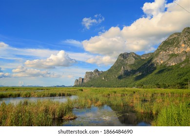 Bung Bua At Khao Sam Roi Yod National Park, Thailand