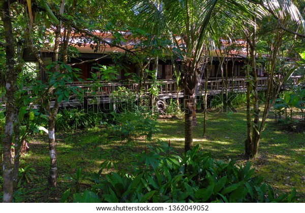 Bungalows Evergreen Lodge Tortuguero Np Costa Stock Photo - 