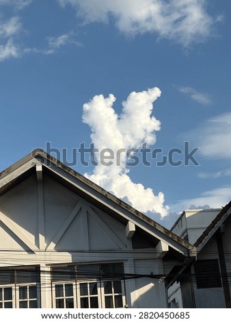 The bunny in the clouds and sly 🐰