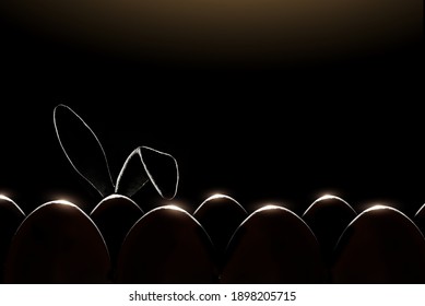 Bunny Ears Silhouette Stick Out From Behind Rows Of Eggs. Easter Composition With Eggs And Bunny On A Black Background With Copy Space.