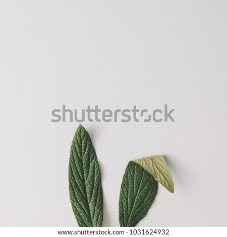 Bunny rabbit ears made of natural green leaves on bright background. Easter minimal concept. Flat lay.