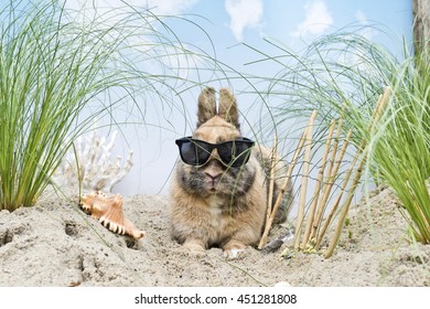 Bunny With Sunglasses In A Artificial Dune Landscape