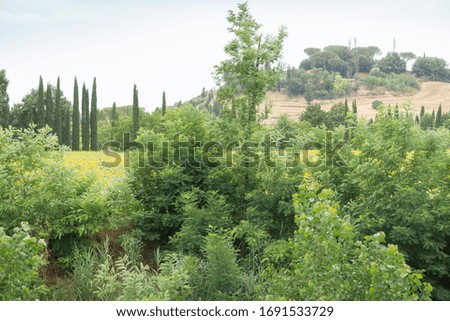 Image, Stock Photo Tuscany is the most beautiful place in Europe and most visited by tourists. The landscape has the most wonderful shape of the area.