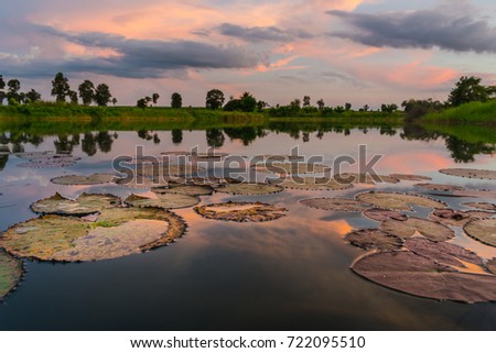 Image, Stock Photo seascape Reflection