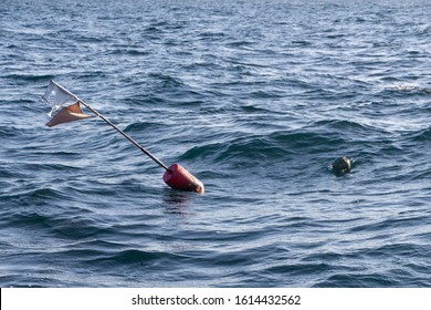 Buoys For Lobster Pot Near The Coast In Brittany