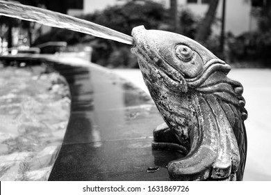 Burbank, California - April 18 2015: A Green Fish Spitting Water At A Fountain, At The Art Deco City Hall. Black And White.