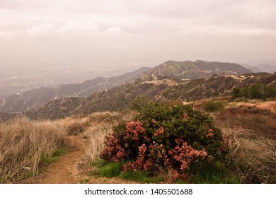 BURBANK, CALIFORNIA / USA - FEBRUARY 25 2004: Views From The Top Of Wildwood Canyon Park In The Verdugo Mountains Overlooking Burbank, Glendale And Downtown Los Angeles Skyline.