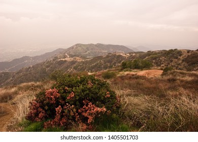 BURBANK, CALIFORNIA / USA - FEBRUARY 25 2004: Views From The Top Of Wildwood Canyon Park In The Verdugo Mountains Overlooking Burbank, Glendale And Downtown Los Angeles Skyline.