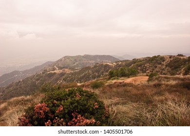 BURBANK, CALIFORNIA / USA - FEBRUARY 25 2004: Views From The Top Of Wildwood Canyon Park In The Verdugo Mountains Overlooking Burbank, Glendale And Downtown Los Angeles Skyline.