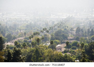 Burbank Hills