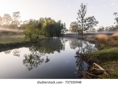 Burdekin River, Reedybrook