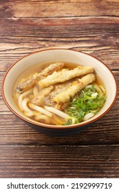 Burdock Tempura Udon Noodle Soup