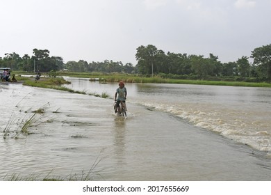 Burdwan, Purba Bardhaman District, West Bengal (India) - 01.08.2021: Agricultural land in several areas of Purba Bardhaman district has been submerged by rains and Banka rivulet waters.