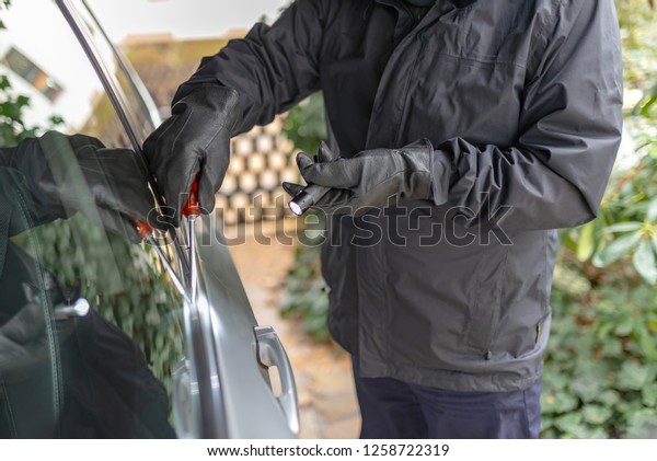 Burglar tries to steal\
car