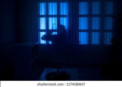 burglary or thief breaking into a home at night through a back door, view from inside the residence