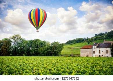 Burgundy. Hot air balloon over the vineyards of the burgundy. France