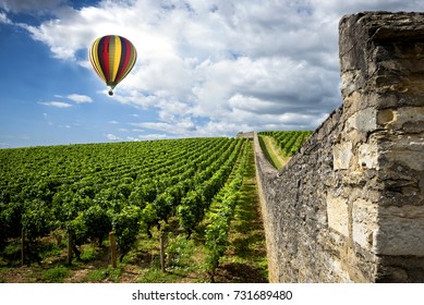 Burgundy. Hot air balloon over the vineyards of the burgundy. France