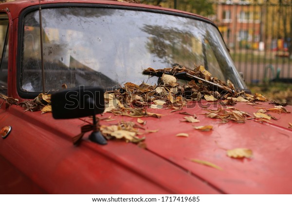 burgundy old abandoned car in the yard strewn with\
yellow leaves