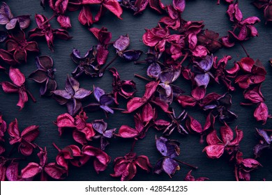 46,206 Burgundy purple background Images, Stock Photos & Vectors