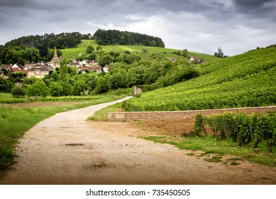 Burgundy. Road In The Vineyards Leading To The Village Of Pernand-Vergelesses In Côte De Beaune. France