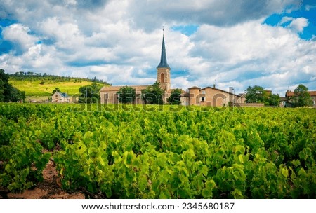Burgundy vinegrape and church- France Foto d'archivio © 