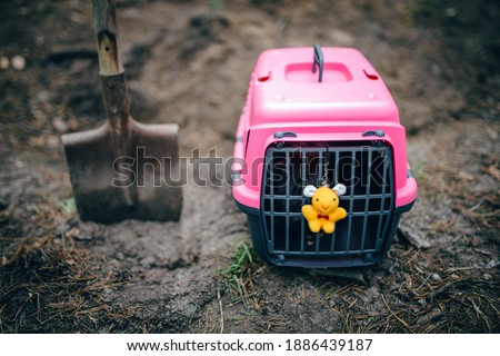 Burial of domestic pet illegal cemetery in forest. Sad tragic plot of animal death. Deceased kitten is wrapped in opaque bag in pet carrier, near favorite toy, portion food, preparing digging grave.