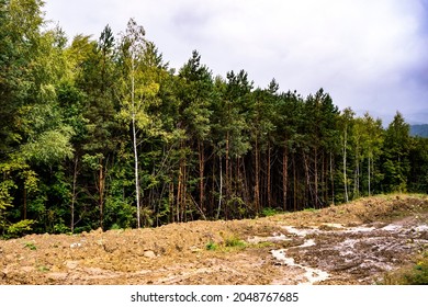 Buried gas pipeline in the forest, route between Slovakia and Poland
