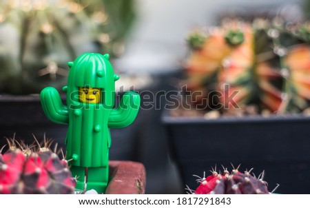 Buriram, Thailand - August 4, 2020: 
cactus girl lego girl minifigure. Lego is extremely popular worldwide with children and collector