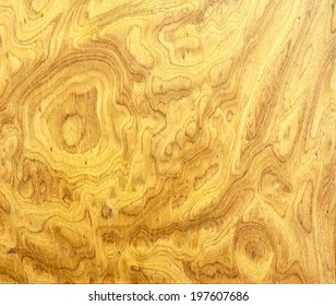 Burl Wood Background