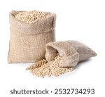 Burlap sacks with pearl barley and spikelet isolated on white