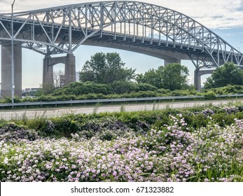 Burlington Bay James N. Allan Skyway