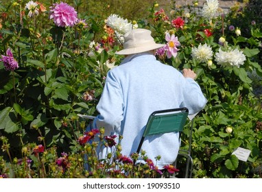 Burlington ON, Canada - Fall 2008 Royal Botanical Gardens:Art at THE GARDENS - Powered by Shutterstock