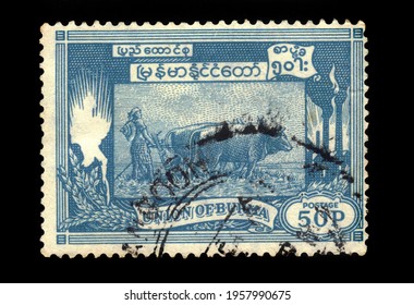 BURMA - CIRCA 1954: A Stamp Printed In Union Of Burma (British Colony) Shows Plower Tills The Ground On Bulls, Series First Anniversary Of Independence, Circa 1954