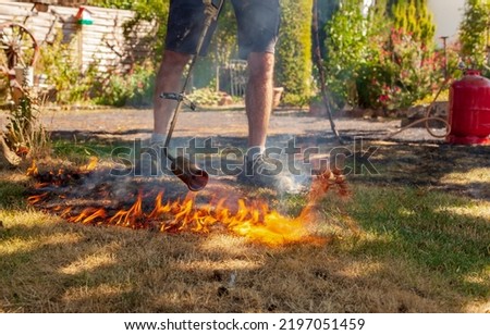 Similar – Image, Stock Photo Burning lawn. Man destroying dry dead grass with weed burner, garden gas burner. Fire spreads quickly through dry grass in garden, close up. Forest fire danger
