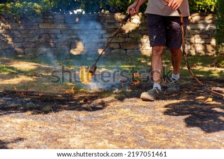 Similar – Image, Stock Photo Burning lawn. Man destroying dry dead grass with weed burner, garden gas burner. Fire spreads quickly through dry grass in garden, close up. Forest fire danger