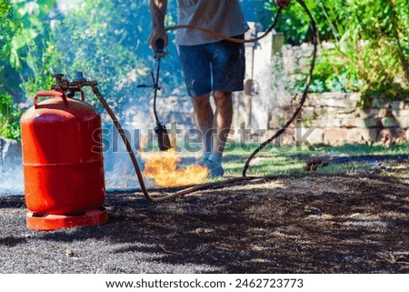 Similar – Image, Stock Photo Burning lawn. Man destroying dry dead grass with weed burner, garden gas burner. Fire spreads quickly through dry grass in garden, close up. Forest fire danger