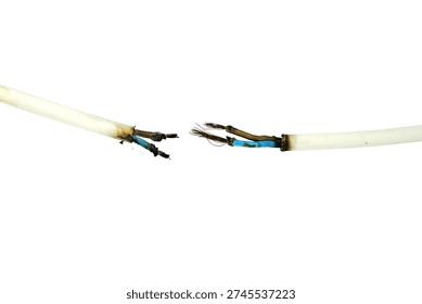 Burned Electrical Cable with Melted Insulation and Exposed Copper Wires Isolated on White Background – Short Circuit Fire Damage, Overheating Power Line Hazard Concept