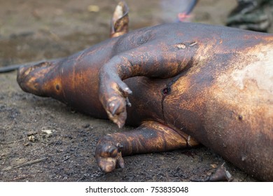 Burned Hair Cleaning On A Slaughter Pig In A Rural Area