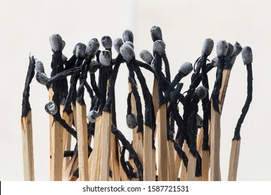 burned matches, burned matchsticks isolated on white background, extra long matches