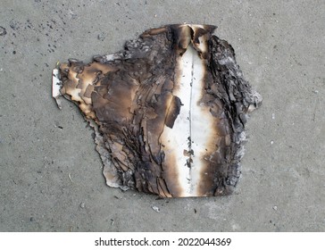 Burned notepad lies on the asphalt top view. Fire damaged paper. Burned leaves of a notebook. Consequences of a fire. Burn the records with fire. - Powered by Shutterstock