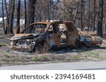 A burned out van and other car stand in a burned area in Scotch Creek, British Columbia, Canada after the Bush Creek East wildfire swept through the area last August.