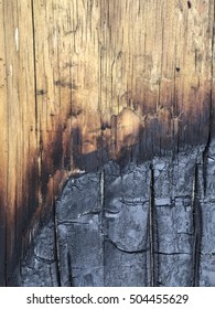 Burned Wood Background