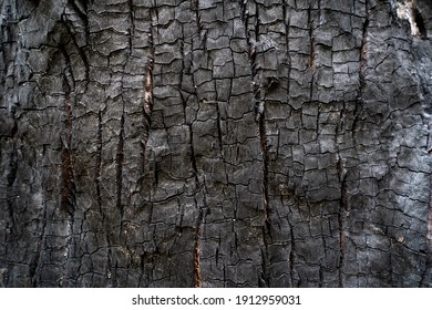 Burned wood texture  Black background  Details the surface charcoal  burnt wood texture  Grunge  burning fire  Dark material 