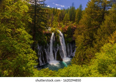 Burney Falls In Shasta County California