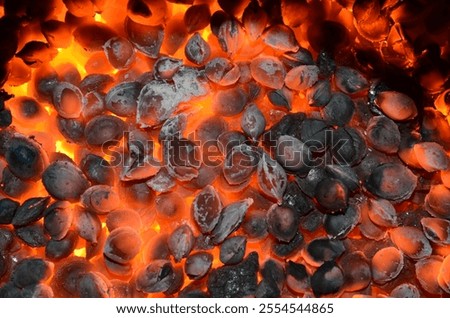 Burning apricot bones as background.
