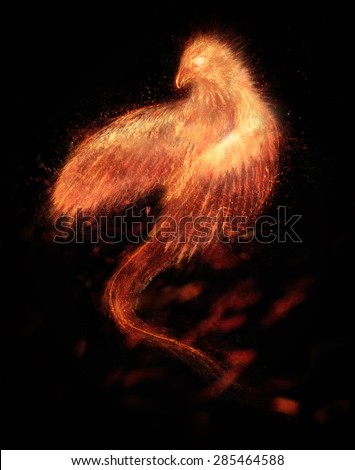 Burning bird phoenix  isolated