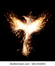 Burning bird phoenix isolated on black background