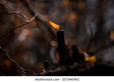 Burning Black Candle In The Spring Forest